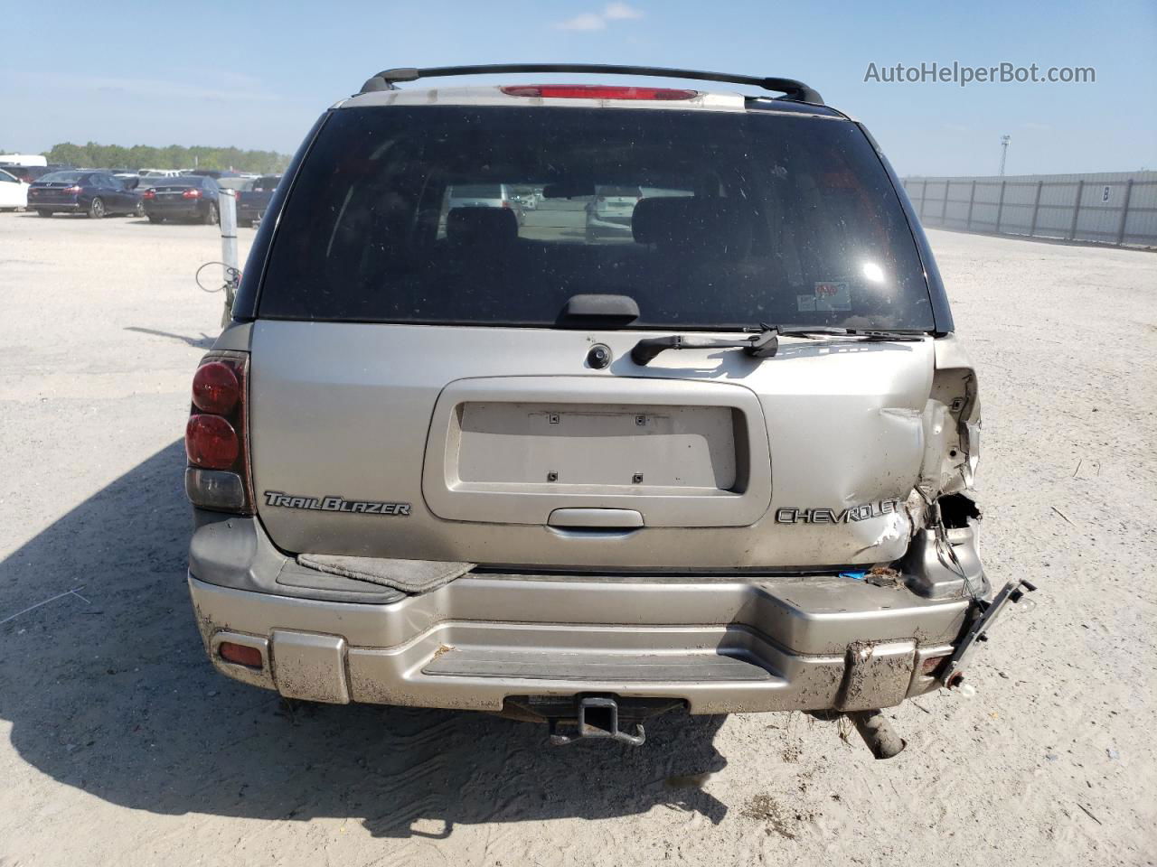 2002 Chevrolet Trailblazer  Tan vin: 1GNDT13S922287655