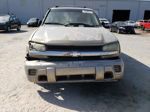 2002 Chevrolet Trailblazer  Tan vin: 1GNDT13S922287655