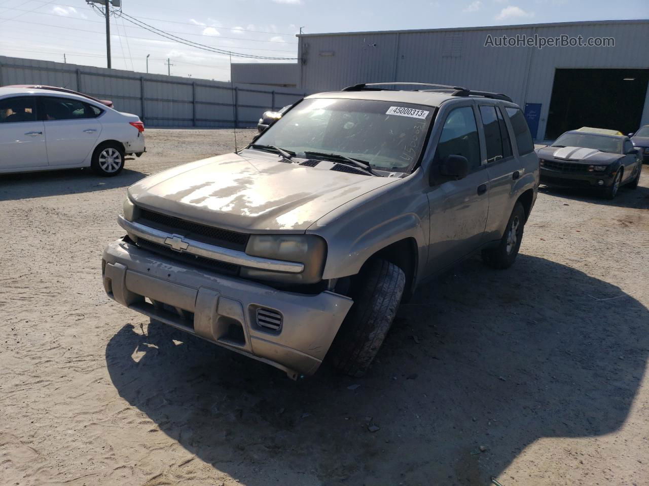 2002 Chevrolet Trailblazer  Tan vin: 1GNDT13S922287655