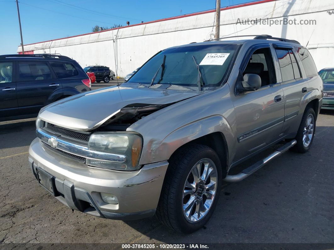 2002 Chevrolet Trailblazer Lt Gray vin: 1GNDT13S922298574