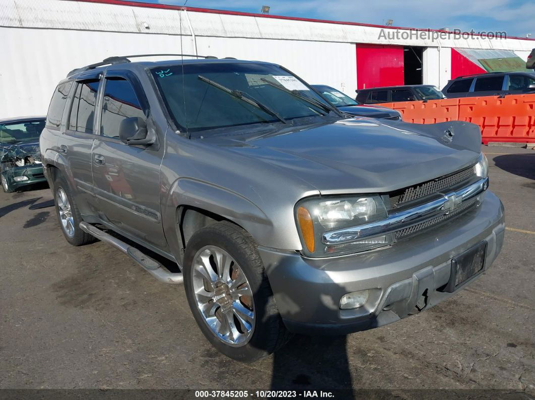 2002 Chevrolet Trailblazer Lt Серый vin: 1GNDT13S922298574