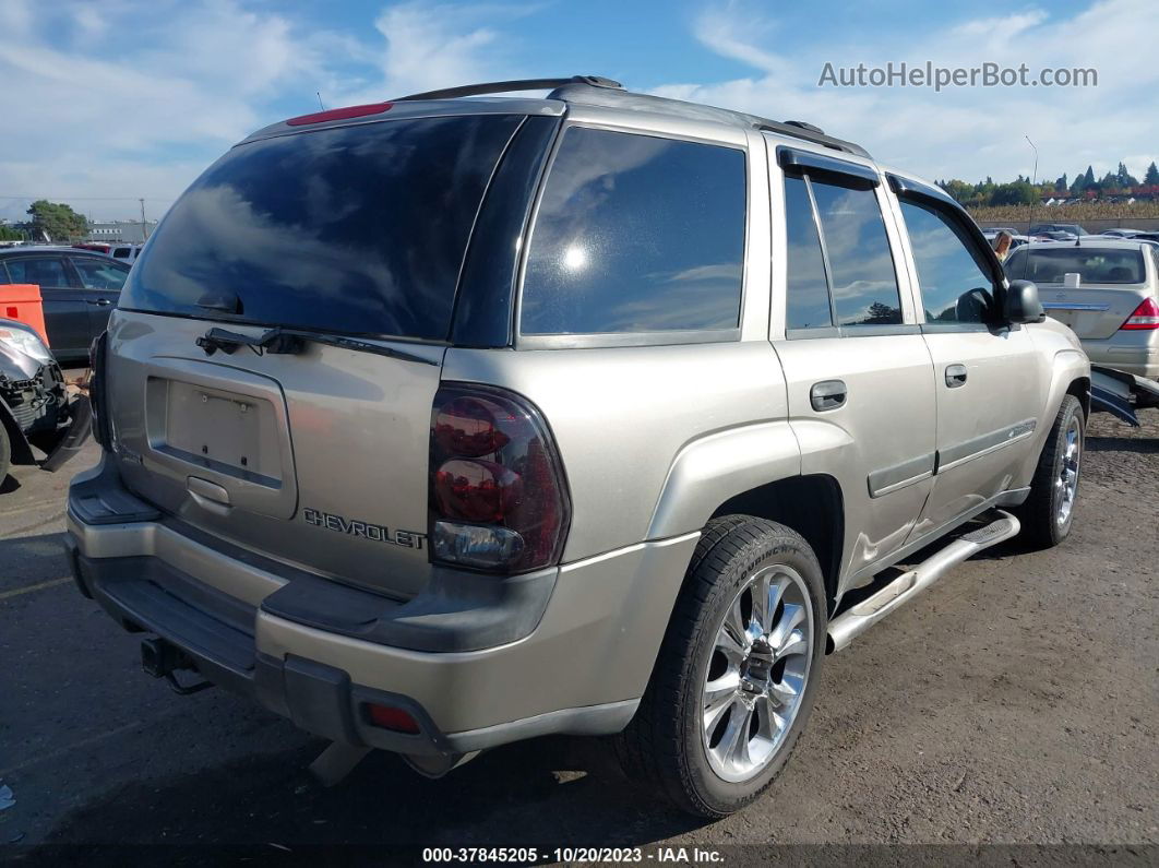 2002 Chevrolet Trailblazer Lt Gray vin: 1GNDT13S922298574