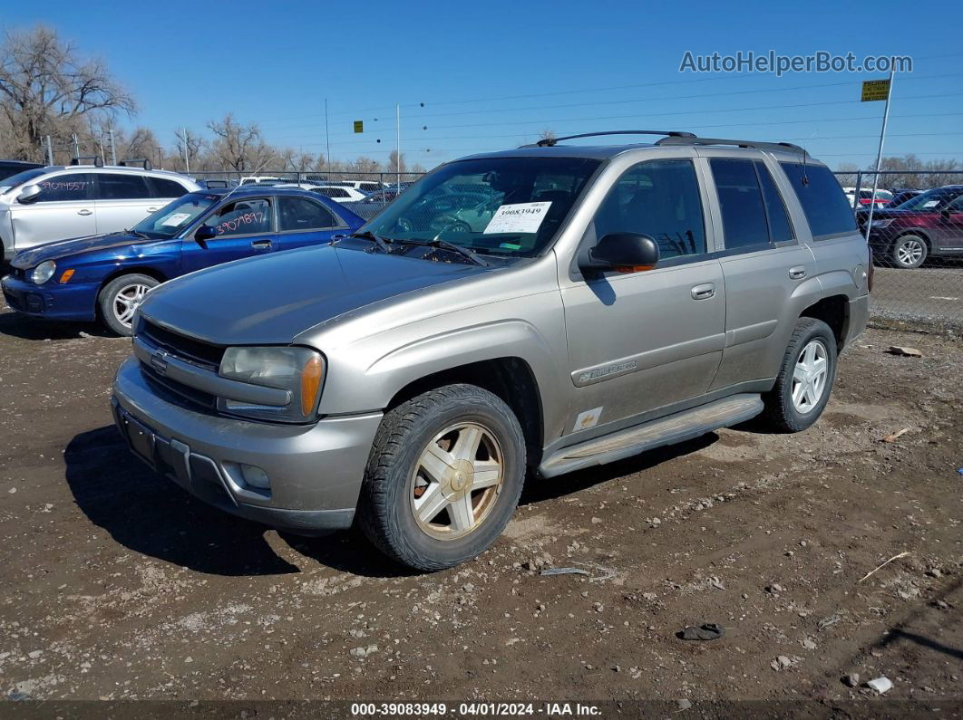 2002 Chevrolet Trailblazer Ltz Gold vin: 1GNDT13S922382975