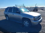 2002 Chevrolet Trailblazer Ltz Золотой vin: 1GNDT13S922382975