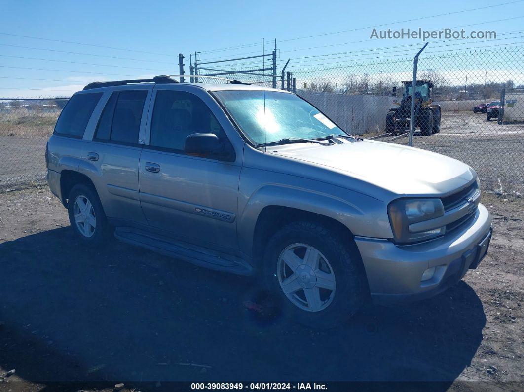 2002 Chevrolet Trailblazer Ltz Золотой vin: 1GNDT13S922382975