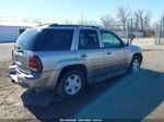 2002 Chevrolet Trailblazer Ltz Золотой vin: 1GNDT13S922382975