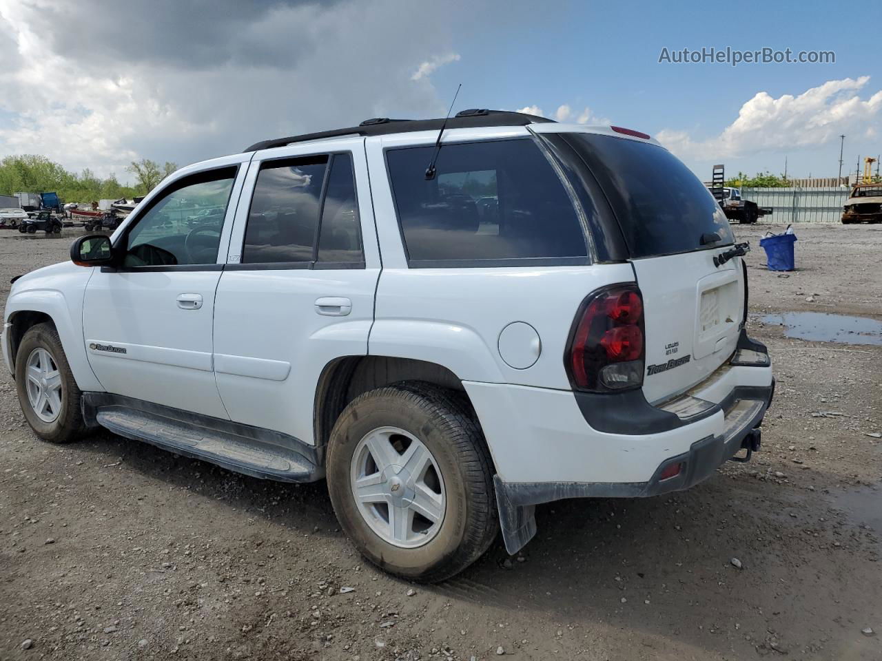 2002 Chevrolet Trailblazer  White vin: 1GNDT13S922391160