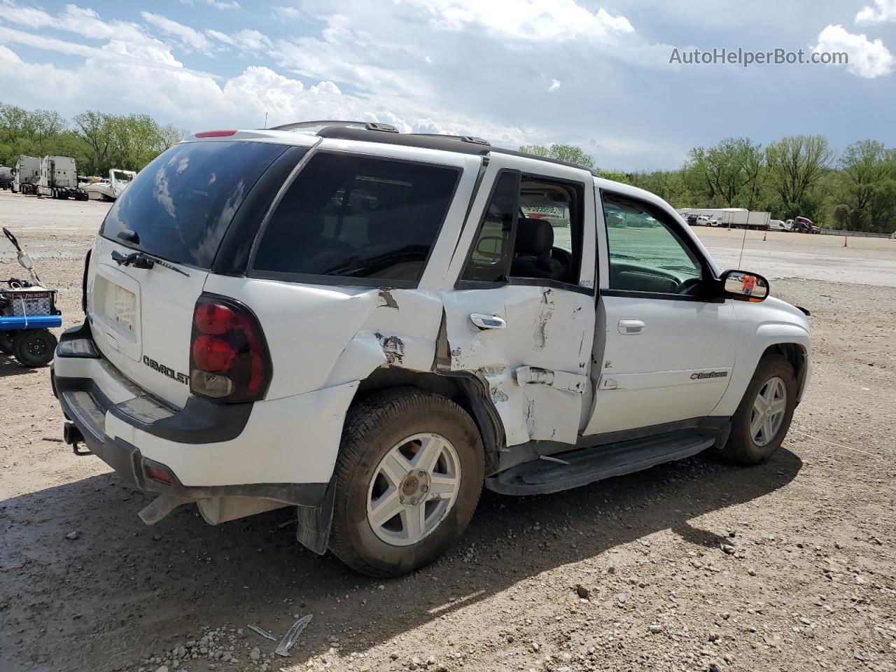 2002 Chevrolet Trailblazer  White vin: 1GNDT13S922391160