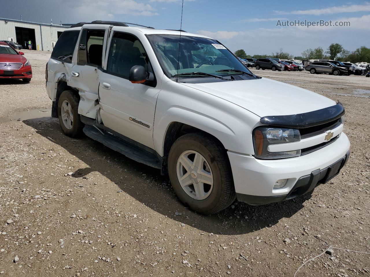 2002 Chevrolet Trailblazer  White vin: 1GNDT13S922391160