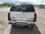 2002 Chevrolet Trailblazer  White vin: 1GNDT13S922391160