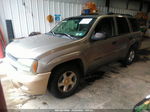 2002 Chevrolet Trailblazer Ls Gold vin: 1GNDT13S922486463