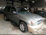 2002 Chevrolet Trailblazer Ls Gold vin: 1GNDT13S922486463