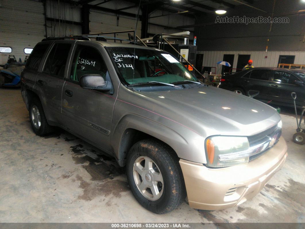 2002 Chevrolet Trailblazer Ls Gold vin: 1GNDT13S922486463