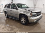 2002 Chevrolet Trailblazer Lt Gray vin: 1GNDT13S922486995