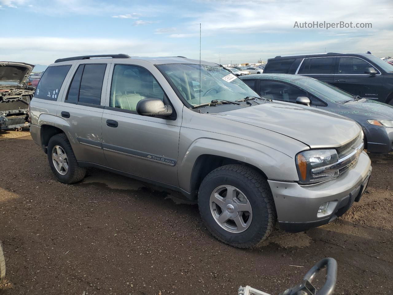 2002 Chevrolet Trailblazer  Желто-коричневый vin: 1GNDT13S922506985