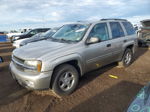 2002 Chevrolet Trailblazer  Желто-коричневый vin: 1GNDT13S922506985