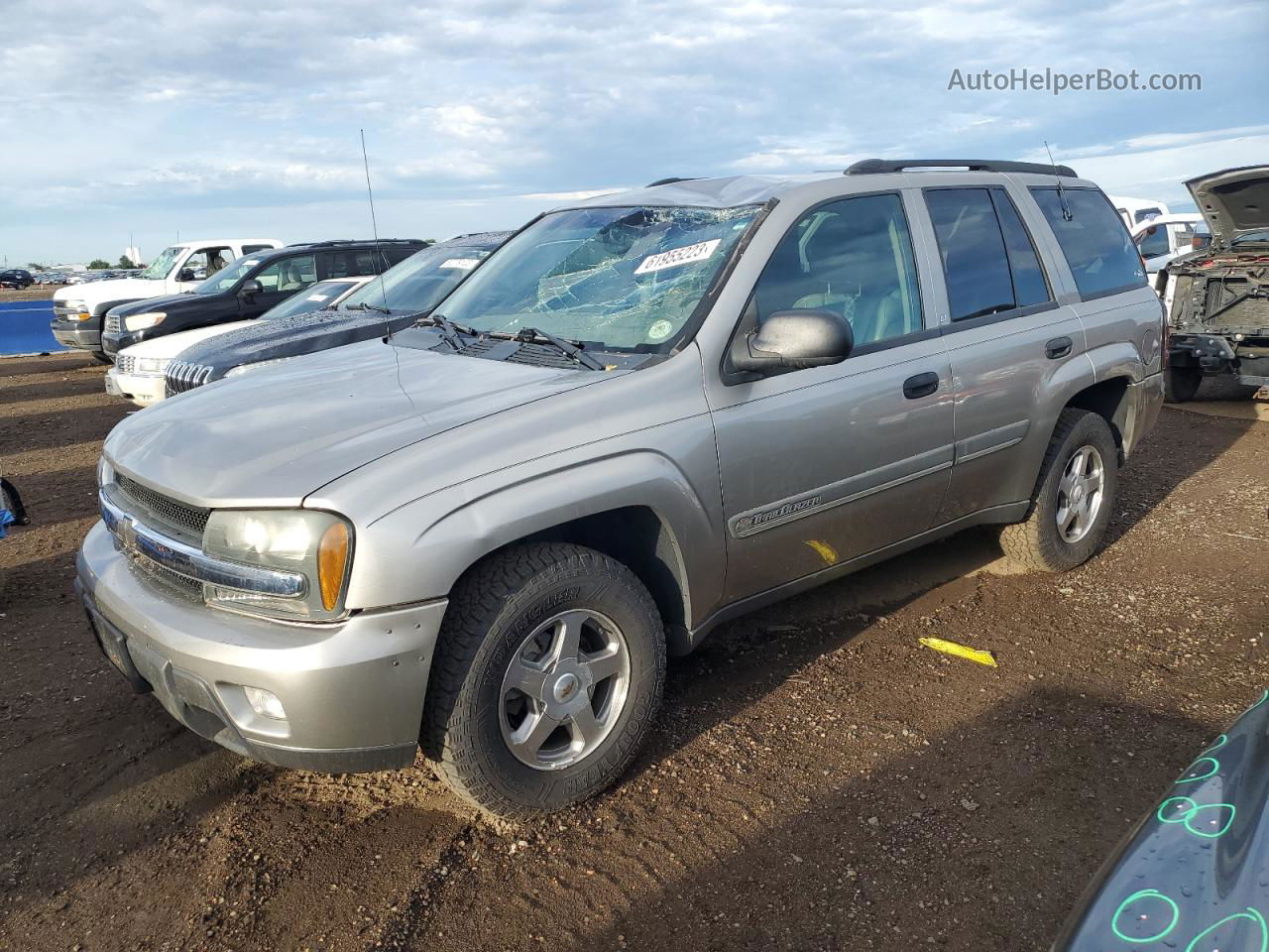 2002 Chevrolet Trailblazer  Tan vin: 1GNDT13S922506985