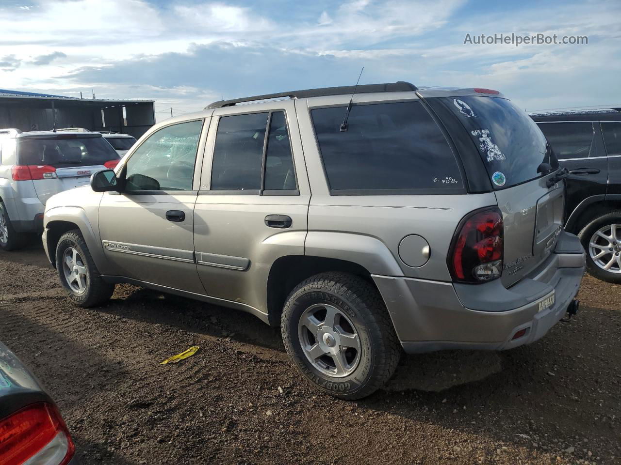 2002 Chevrolet Trailblazer  Желто-коричневый vin: 1GNDT13S922506985