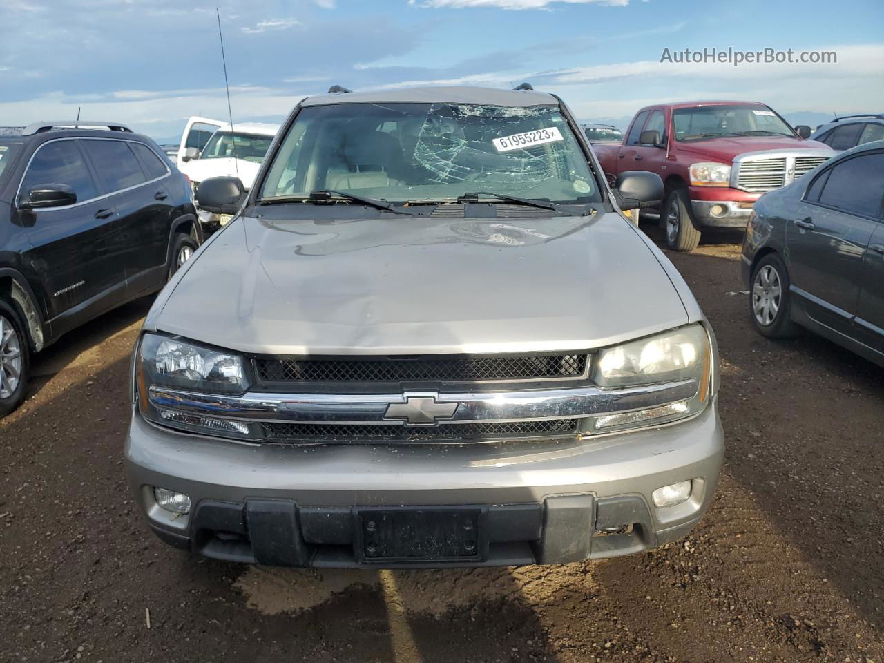 2002 Chevrolet Trailblazer  Желто-коричневый vin: 1GNDT13S922506985