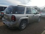 2002 Chevrolet Trailblazer  Tan vin: 1GNDT13S922506985