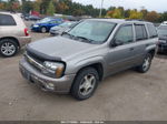 2006 Chevrolet Trailblazer Ls Beige vin: 1GNDT13S962335645