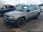 2006 Chevrolet Trailblazer Ls Silver vin: 1GNDT13S962336150