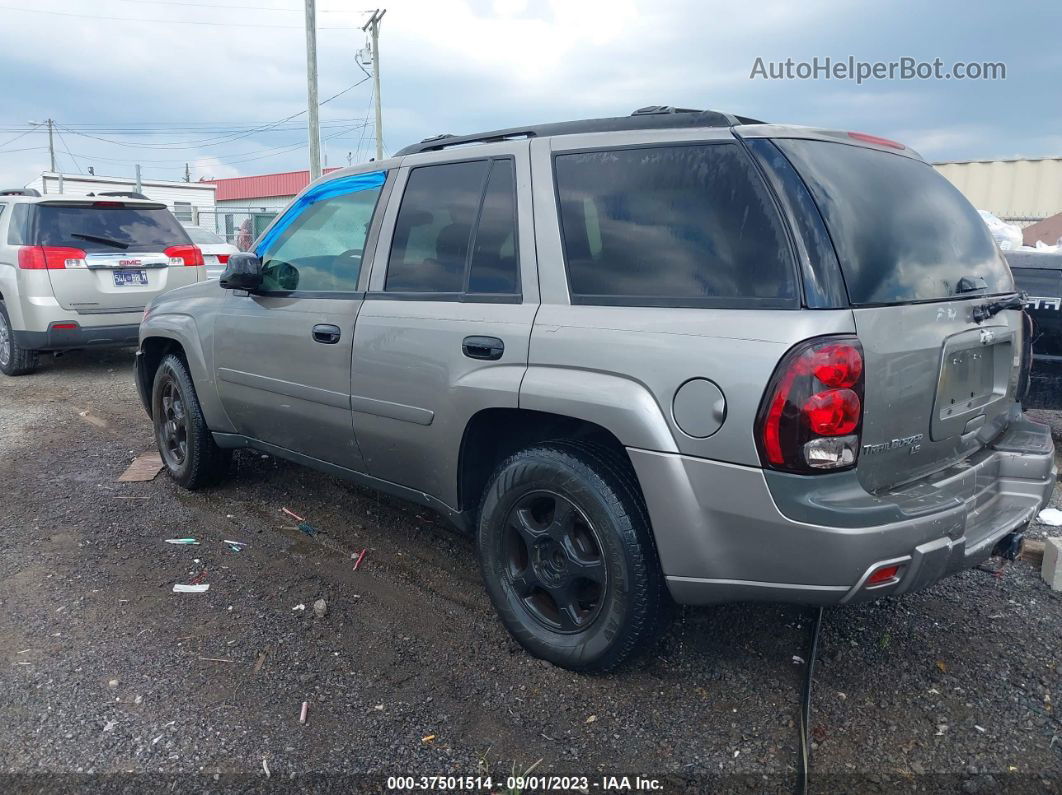 2006 Chevrolet Trailblazer Ls Silver vin: 1GNDT13S962336150