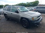 2006 Chevrolet Trailblazer Ls Silver vin: 1GNDT13S962336150