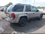 2006 Chevrolet Trailblazer Ls Silver vin: 1GNDT13S962336150