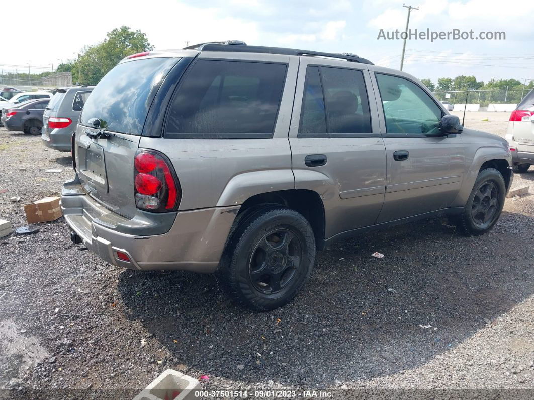 2006 Chevrolet Trailblazer Ls Silver vin: 1GNDT13S962336150