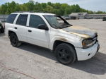 2006 Chevrolet Trailblazer Ls White vin: 1GNDT13S962343017