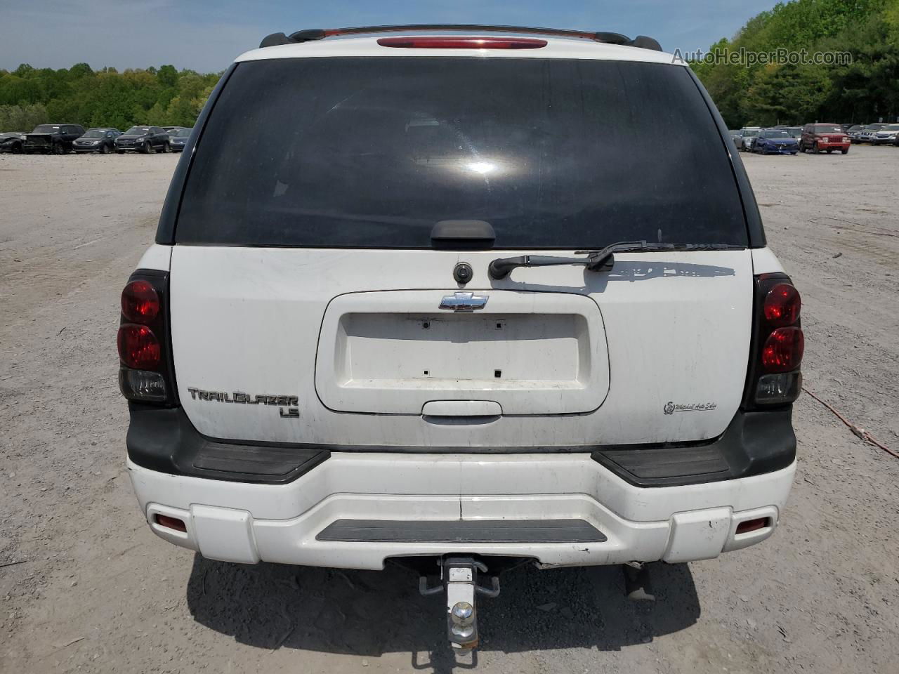 2006 Chevrolet Trailblazer Ls White vin: 1GNDT13S962343017