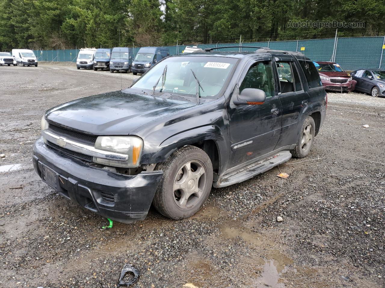 2002 Chevrolet Trailblazer  Черный vin: 1GNDT13SX22127848