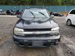 2002 Chevrolet Trailblazer  Черный vin: 1GNDT13SX22127848