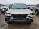 2002 Chevrolet Trailblazer  Серый vin: 1GNDT13SX22147954