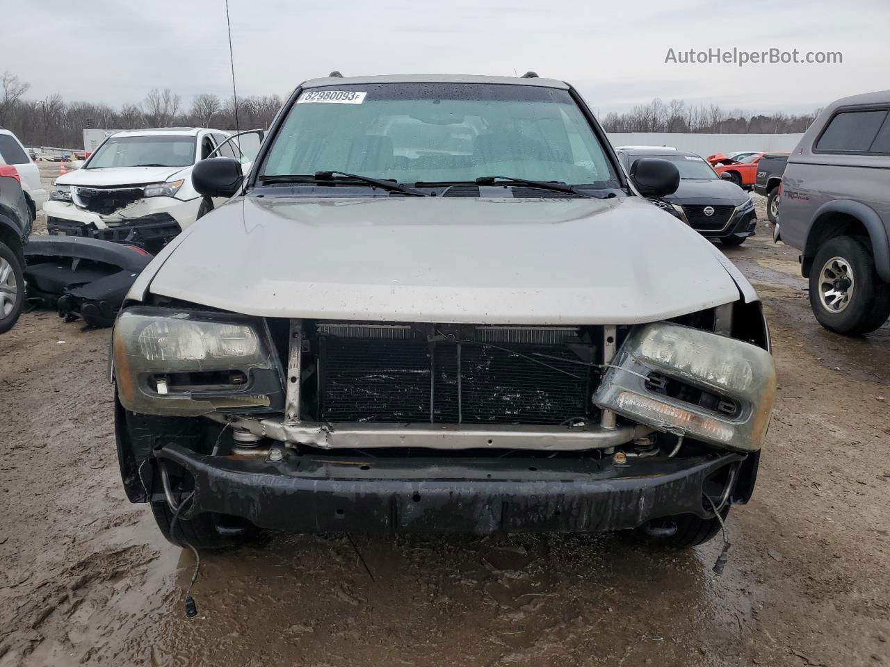 2002 Chevrolet Trailblazer  Серый vin: 1GNDT13SX22147954