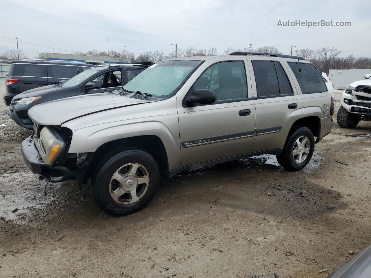 2002 Chevrolet Trailblazer  Серый vin: 1GNDT13SX22147954