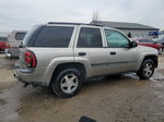 2002 Chevrolet Trailblazer  Серый vin: 1GNDT13SX22147954