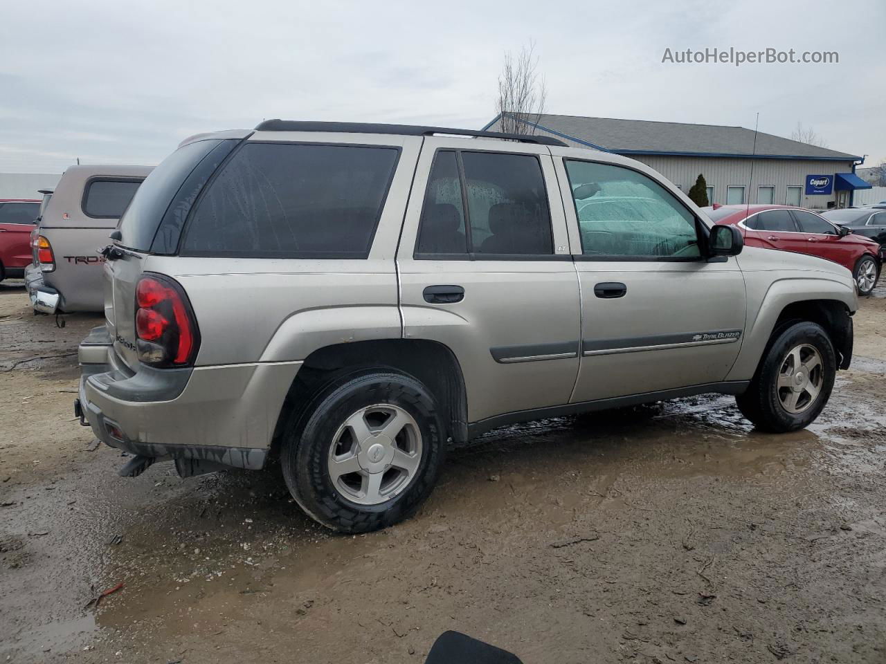 2002 Chevrolet Trailblazer  Серый vin: 1GNDT13SX22147954