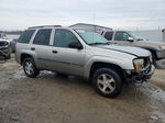 2002 Chevrolet Trailblazer  Gray vin: 1GNDT13SX22147954