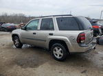 2002 Chevrolet Trailblazer  Серый vin: 1GNDT13SX22147954