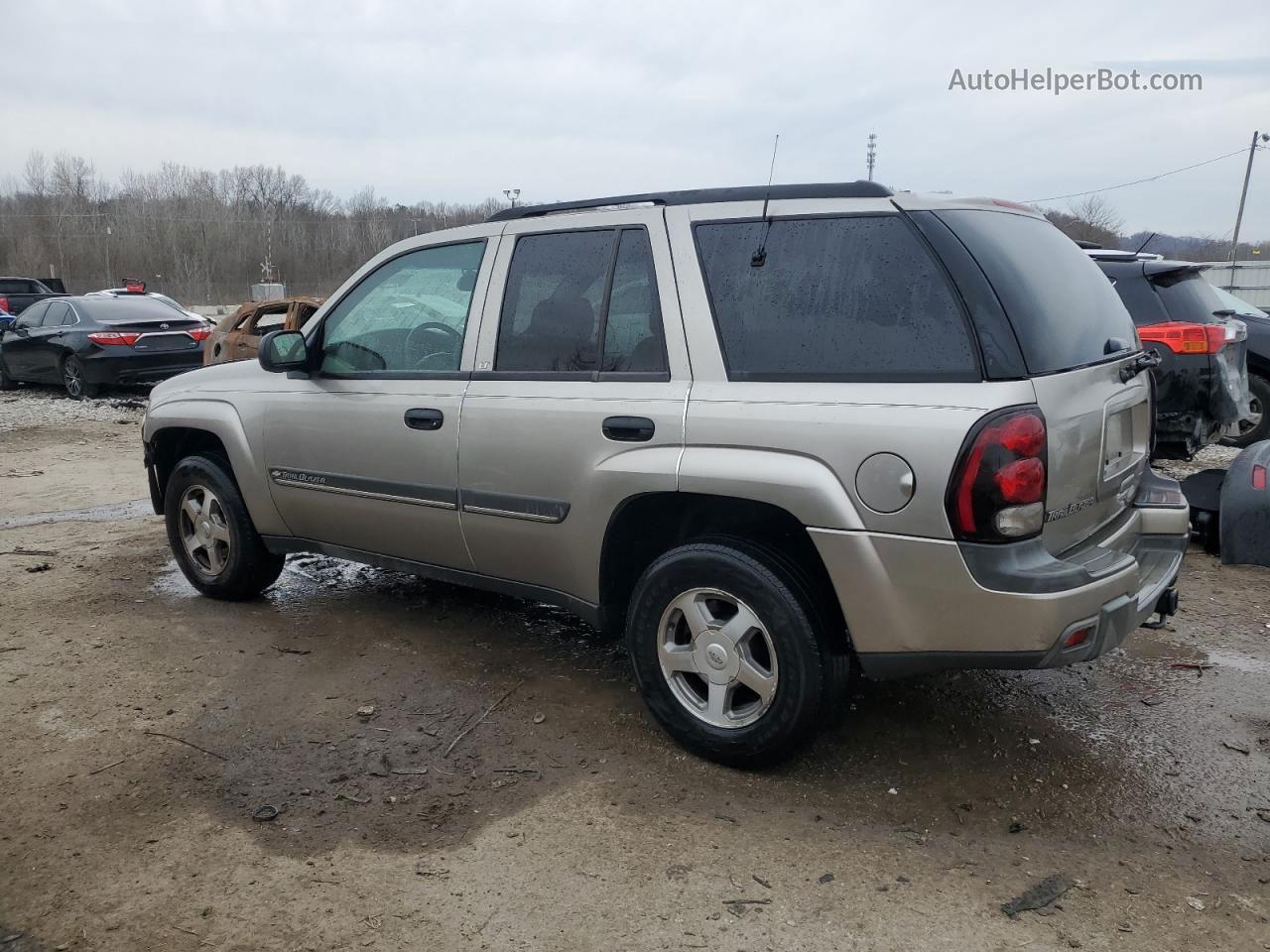 2002 Chevrolet Trailblazer  Gray vin: 1GNDT13SX22147954