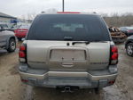 2002 Chevrolet Trailblazer  Серый vin: 1GNDT13SX22147954