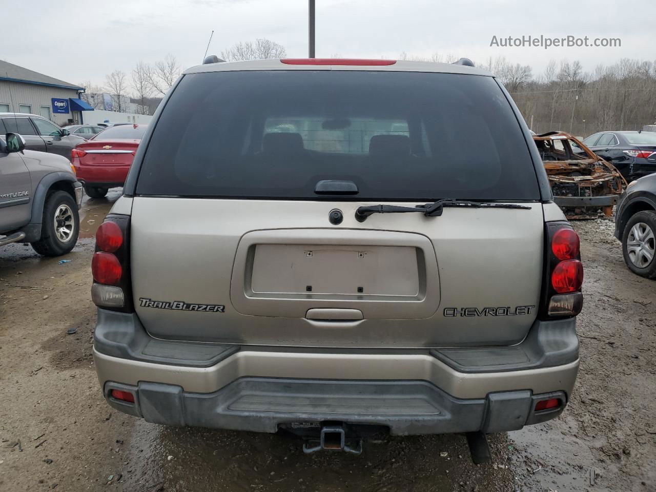 2002 Chevrolet Trailblazer  Серый vin: 1GNDT13SX22147954