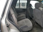 2002 Chevrolet Trailblazer  Gray vin: 1GNDT13SX22147954