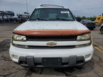 2002 Chevrolet Trailblazer  Белый vin: 1GNDT13SX22184888