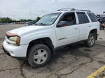 2002 Chevrolet Trailblazer  White vin: 1GNDT13SX22184888