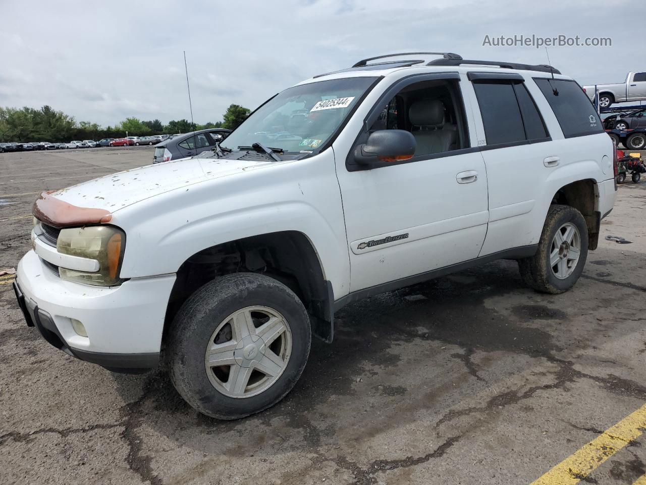 2002 Chevrolet Trailblazer  Белый vin: 1GNDT13SX22184888