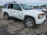 2002 Chevrolet Trailblazer  White vin: 1GNDT13SX22184888