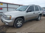 2002 Chevrolet Trailblazer Ls Silver vin: 1GNDT13SX22216948